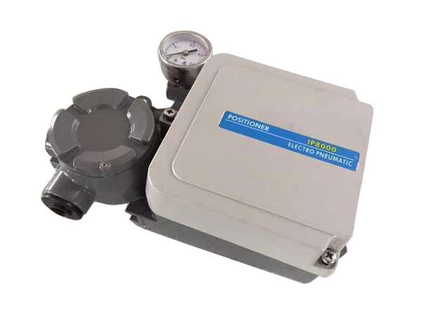 IP-8000